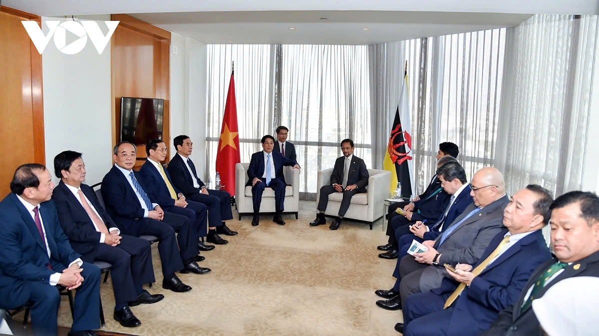 Vietnam and Brunei vow to foster comprehensive partnership